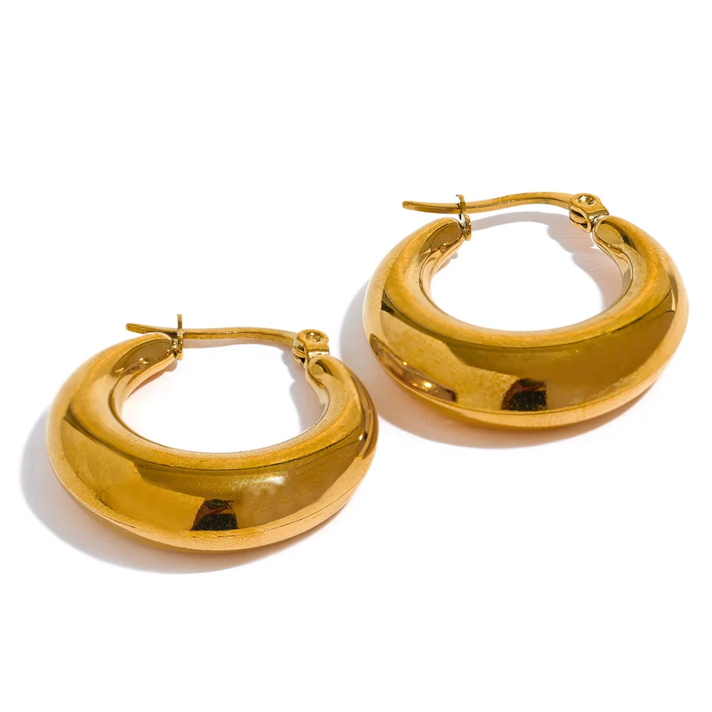 Ziora  Chunky Hoop Earrings